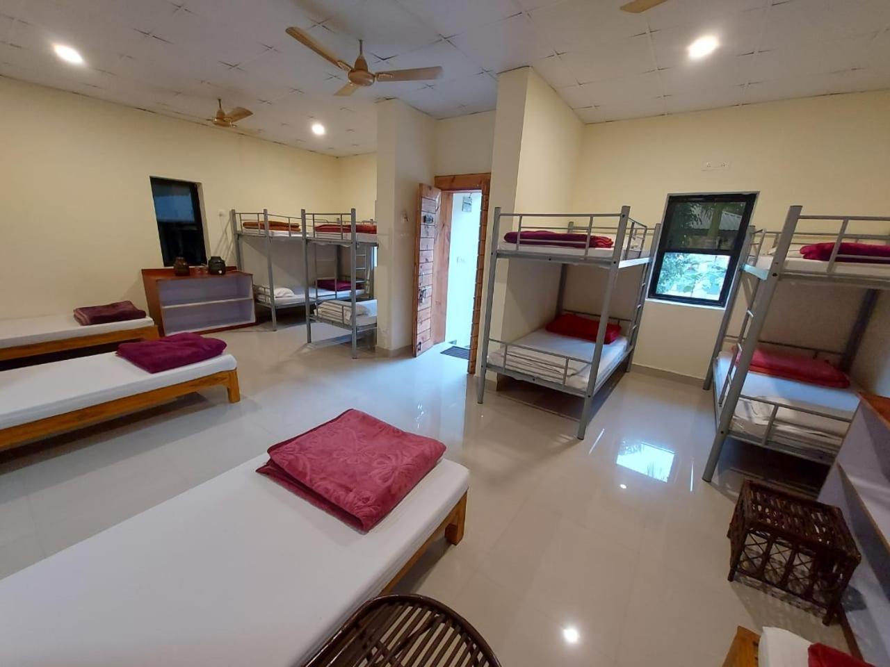 Tadoba Tiger Valley Resort Tadoba Mohurli エクステリア 写真