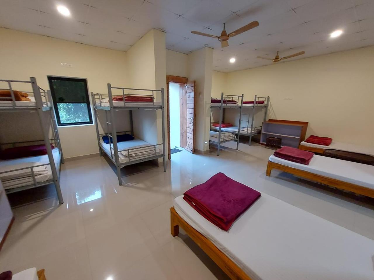 Tadoba Tiger Valley Resort Tadoba Mohurli エクステリア 写真
